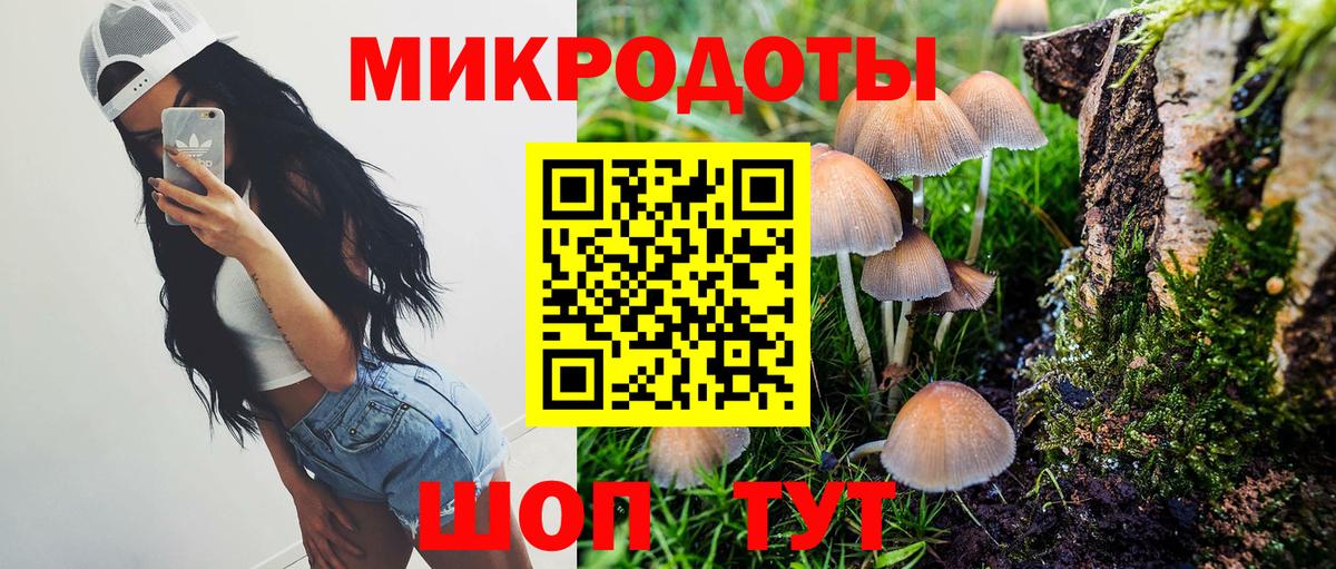 Саки  Галлюциногенные грибы Psilocybine cubensis  Вход с VPN 